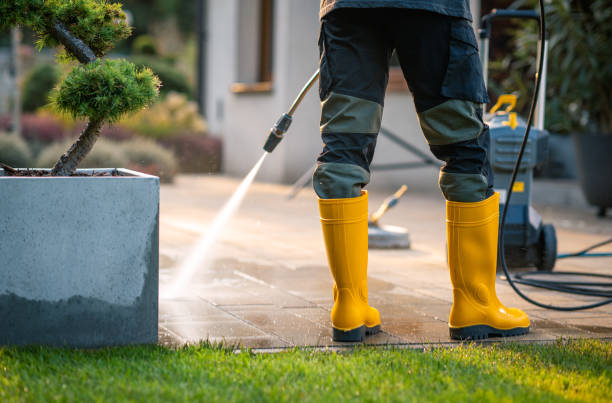 Best Roof Pressure Washing  in Edgewater, NJ